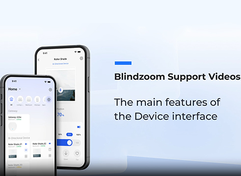 General introduce of Blindzoom App mainpage