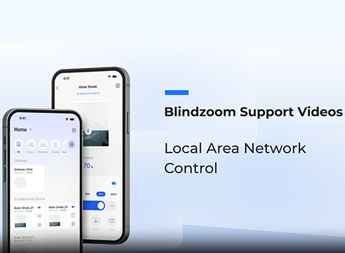 Local Area Network Control in Blindzoom App